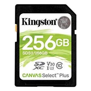 Kingston 256 GB SDXC Class 10 Flash Memory Card SDS2 Memory