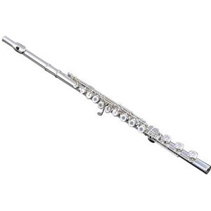 fluitje Fluitinstrument Zilver Mondstuk 17 Gaten Open B Staart Franse Sleutel Universeel Professioneel