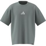 adidas Hombre CLIMACOOL POWER TRAINING GRAPHIC T-SHIRT, Wonder Sage, XL