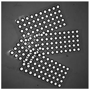 1000 punten hoge reflectie cirkelvormige punten marker positioneringsdoel for 3D-scanner driedimensionale bewegingsanalyse voor ondersteunde positionering, kalibratie(Inner 12mm outer 18mmm)