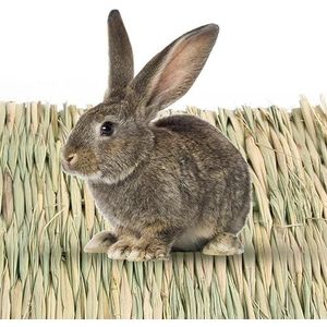 JIAWEIIY Bunny Grass Mat Geweven Konijn Stro Mat Konijn Mat Konijn Beddengoed Nest Rustende Kooi Mat Voor Cavia Papegaai Chinchilla Hamster (S)