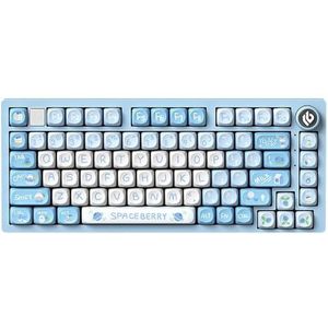 QPSJXN HI75 RGB mechanisch gamingtoetsenbord met achtergrondverlichting en een swappable afdichtingsstructuur op metalen basis. (Blueberries-SOA)