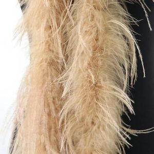 Natuurlijke Struisvogelveren Boa 10Ply Lint 1M 2M Decoratie Voor Kostuum Kleding Naaien Accessoire Veelkleurige-Camel-2M 8PLY