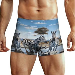 Afrikaanse Landschap Zebra's Heren Boxer Slips Hoge Tailleband Zacht Ondergoed Stretch Trunks Panty