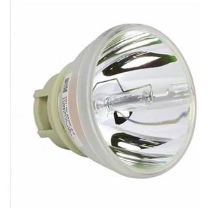 Projectorlamp RLC-109 for PS600W/PA503W/PG603W/PS501W projectoren