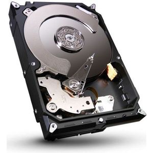Seagate Barracuda ST250DM000 interne harde schijf 250 GB (8,9 cm (3,5 inch), 7200 rpm, 16 MB cache, SATA III) bulk 3 TB