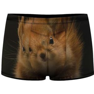 Grappige Eekhoorns Heren Boxer Slips Sexy Shorts Mesh Boxers Ondergoed Ademend Onderbroek Thong