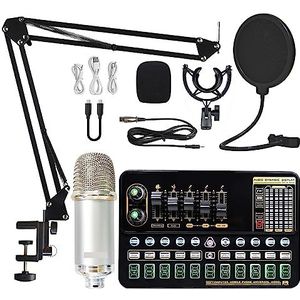 Geluidskaartset, Condensatormicrofoonbundel Geluidskaartset met verstelbare microfoonophanging Schaararm Professionele studio draadloze karaokemicrofoon(Silver BM900 Suit)