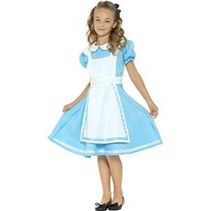 Wonderland Princess Costume (M)