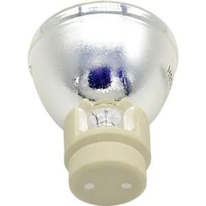 PJD6253 PJD6553W PJD6383 PJD6683W PJD6683WS projector for v-iewson*c P-VIP 240/0.8 E20.8 kale gloeilamp