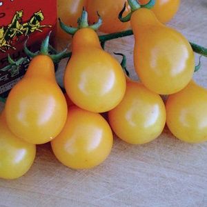 1/8 Gram Semi di Yellow Pera Pomodoro convenzionale e organica