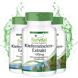 Fairvital | Pijnboomschors extract capsules 100mg - VEGAN - HOOG GEDOSEERD 180 capsules (60 x 3) - pijnboomschorsextract gestandaardiseerd op 95% proanthocyanidine