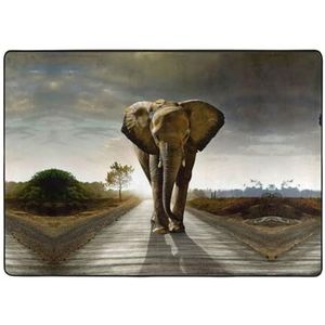 3d olifant print groot tapijt, flanel mat, indoor vloer tapijt tapijt, voor nachtkastje eetkamer decor 203x148 cm