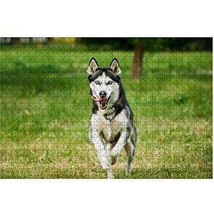 Puzzel 1000 stukjes Siberische Husky Hond Loopt Grappig Buiten In Zomer Gras Puzzelsets Decompressie Jongens Dieren Puzzels Cadeau Onmogelijke Puzzel