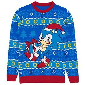 Sonic the Hedgehog Mens Christmas Jumper volwassenen Blue Kerstmis trui