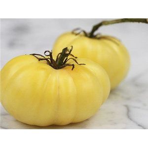 20 semi di pomodoro - Heirloom White Beauty
