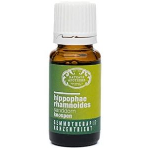 RATHAUS APOTHEKE WIEN geconcentreerd knopextract - Gemmotherapie - Hippophae rhamnoides - De duindoorn - 15 ml