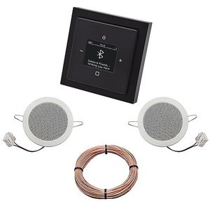 Busch Jäger DAB+ 8217U-101 Future 8217U-101 Inbouw-Bluetooth Radio mat zwart, complete set met 2 x plafondluidspreker ingebouwde luidspreker + 20 m luidsprekerkabel 2 x 0,75 mm2 8217 U - 101