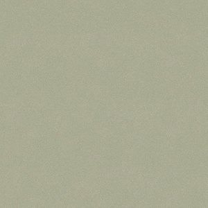 behang effen groen 53 cm x 10.05 m - van Sanders & Sanders