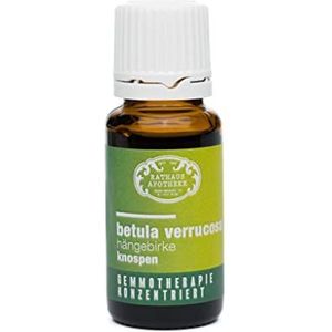 RATHAUS APOTHEKE WIEN geconcentreerd knopextract - Gemmotherapie - Betula verrucosa - De hangende berk, knoppen - 15 ml