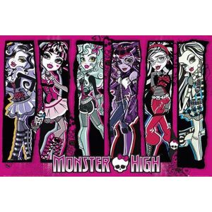 Monster High Poster groep 61 x 91,5 cm