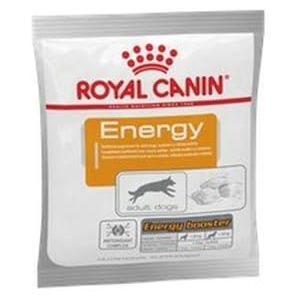 Royal Canin Nutritional Supplement Energy kattenvoer