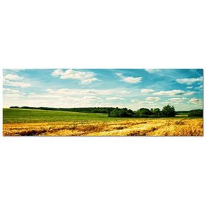 Paul Sinus Art Panoramabeeld op doek en spieraam 150x50cm landschap korenveld wolken zomer