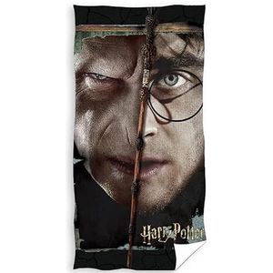 Harry Potter - Voldemort - Strandlaken - Multicolor - 100% Katoen