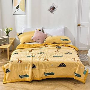 Cool Zomer Quilt Gewassen Katoen Zomer Quilt Zomer Cadeau Air-conditioning Quilt Wasbaar Kinderen Enkele Dubbele Dunne Quilt