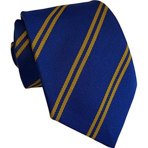 School Ties (14 Double Stripe Variations) (Royal & Gold)