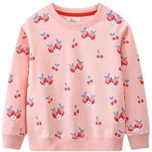 Mrkeung Meisjes Sweatshirts Katoen Casual Sweatshirts Lange Mouw Sweatshirts T-shirts Cartoon Tops voor Meisjes-638, Meerkleurig, 3 jaar