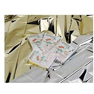 TELO ISOTERMICO DI SOCCORSO CM 160 X 210 Art. PS783