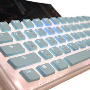 QPSJXN Koreaanse lay-out PBT Pudding Keycap spel voor mechanische toetsenborden compatibel met OEM MX Switch OEM Profile Gaming toetsen (Koreaans blauw)