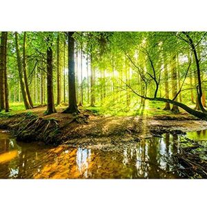 Fotobehang Bos Landschap 396 x 280 cm - Vliesbehang Woonkamer Slaapkamer Kantoor Hal Decoratie Muurschilderingen XXL Moderne Wanddecoratie - 100% MADE IN GERMANY - Runa Behang - 9141012a