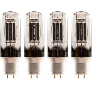 4-kanaals DIY versterker kit met vacuüm ventiel 845-DG 845DG (4 stuks)