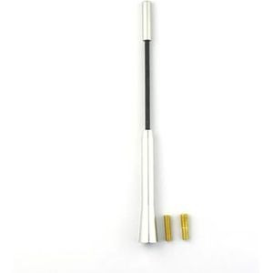 Audio- & videoantennes voor auto 17CM Universele Auto Dakmast Zweepantenne Stereo Radio FM/AM Metaal Ontvangst Signaal Antenne Versterkt Automobiel Auto-antenne(Silver)