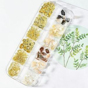 Natuurlijke Abalone Zeeschelp Steen Nail Art Decoratie Aurora 3D Onregelmatige Slice Fragmenten Vlokken Voor Nagel Nagels Charms-PH031