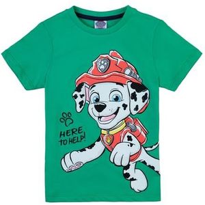 PAW PATROL - T-shirt - Blarney - Met Cool Groot Voormotief