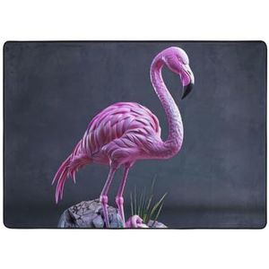 YJxoZH Holle Flamingo Print Thuis Tapijten, Voor Woonkamer Keuken Antislip Vloer Tapijt Zachte Slaapkamer Tapijten - 148x 203cm