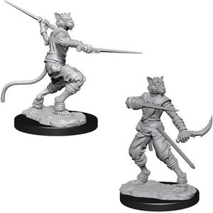 Dungeons & Dragons WK73540 accessories