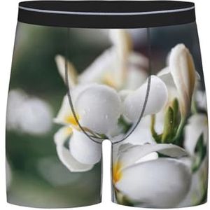GRatka Boxer slips, heren onderbroek boxer shorts been boxer slips grappig nieuwigheid ondergoed, mooie witte Frangipani Wake Plumeria bloemen, zoals afgebeeld, XL