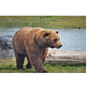 Jigsaw Puzzels, 1000 stukjes, close-ups van een grote bruine grizzlyberen in Alaska puzzelsets, decompressie voor jongeren, 1000 stukjes, grote puzzels voor jongens, moeilijk