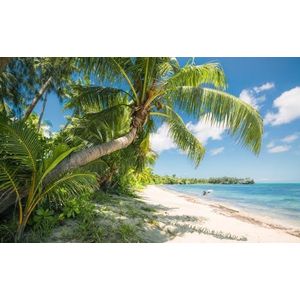 fotobehang palmbomen op het strand groen en blauw 450 x 280 cm - van Sanders & Sanders