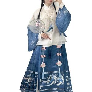 Chinees traditioneel kostuum Hanfu Jurk, Han-Chine Ming-dynastie Hanfu ronde hals gewaad geborduurde pipa-mouwen paardengezicht rok nationale stijl jurk(Small)