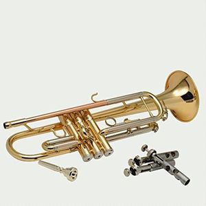 Trompetten Speciaal Type Voor Koperbuislichaam In B Flat Trumpet-instrument Met Gelakte Gouden Oppervlak Student Trompetten