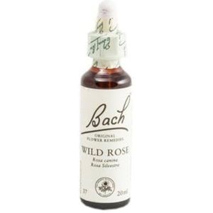 Bach Bach wilde roos, voedingssupplementen met wilde rozenbloesemextract, druif van alk 27% vol, helpt bij het beheren van emoties als je meer motivatie wilt hebben, 20 ml