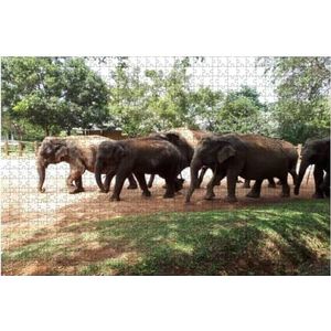 Jigsaw Puzzel 1000 stuks olifanten in de safari houten puzzel volwassenen puzzelplezier brain uitdaging puzzel voor kinderen jongens dieren puzzels