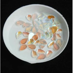 Transparante stijl Flat Back Nail Rhinestone Speciaal gevormde kristallen Nail Art Stones 3D Gepersonaliseerde decoratie-27-100st