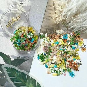 1 Doos Olieverfschilderij Bloemennagels Accessoires Bloemennageldecoratie 3D Nagel DIY Nagels Bloemennagelsalon Set-01_a