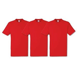 Vruchten van de Loom Heren Heavy T-Shirt Pack van 3